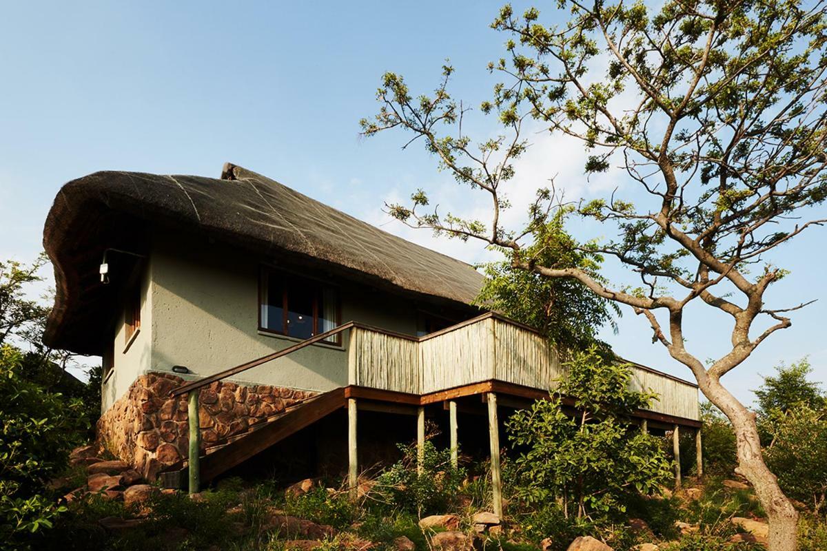 Mhondoro Safari Lodge & Villa Welgevonden Ngoại thất bức ảnh